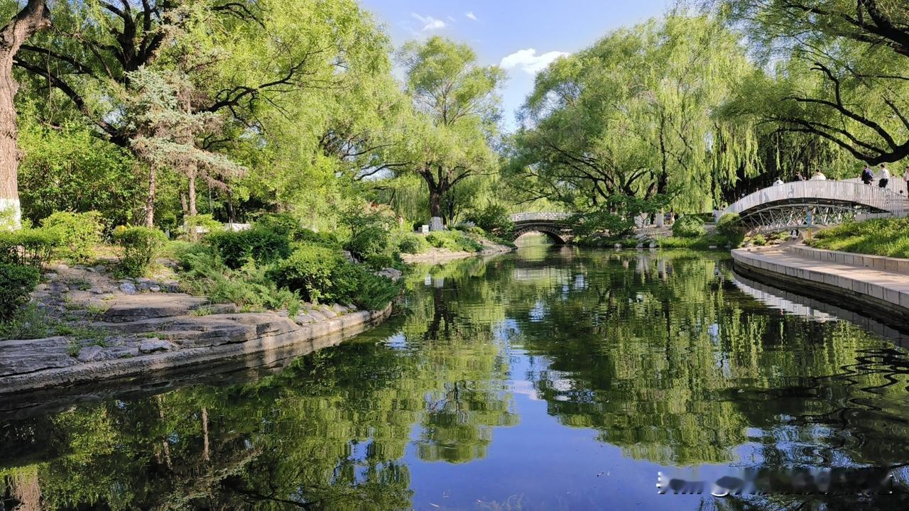 静谧的公园小湖，绿树成荫，蓝天与绿水呼应，清凉一夏～