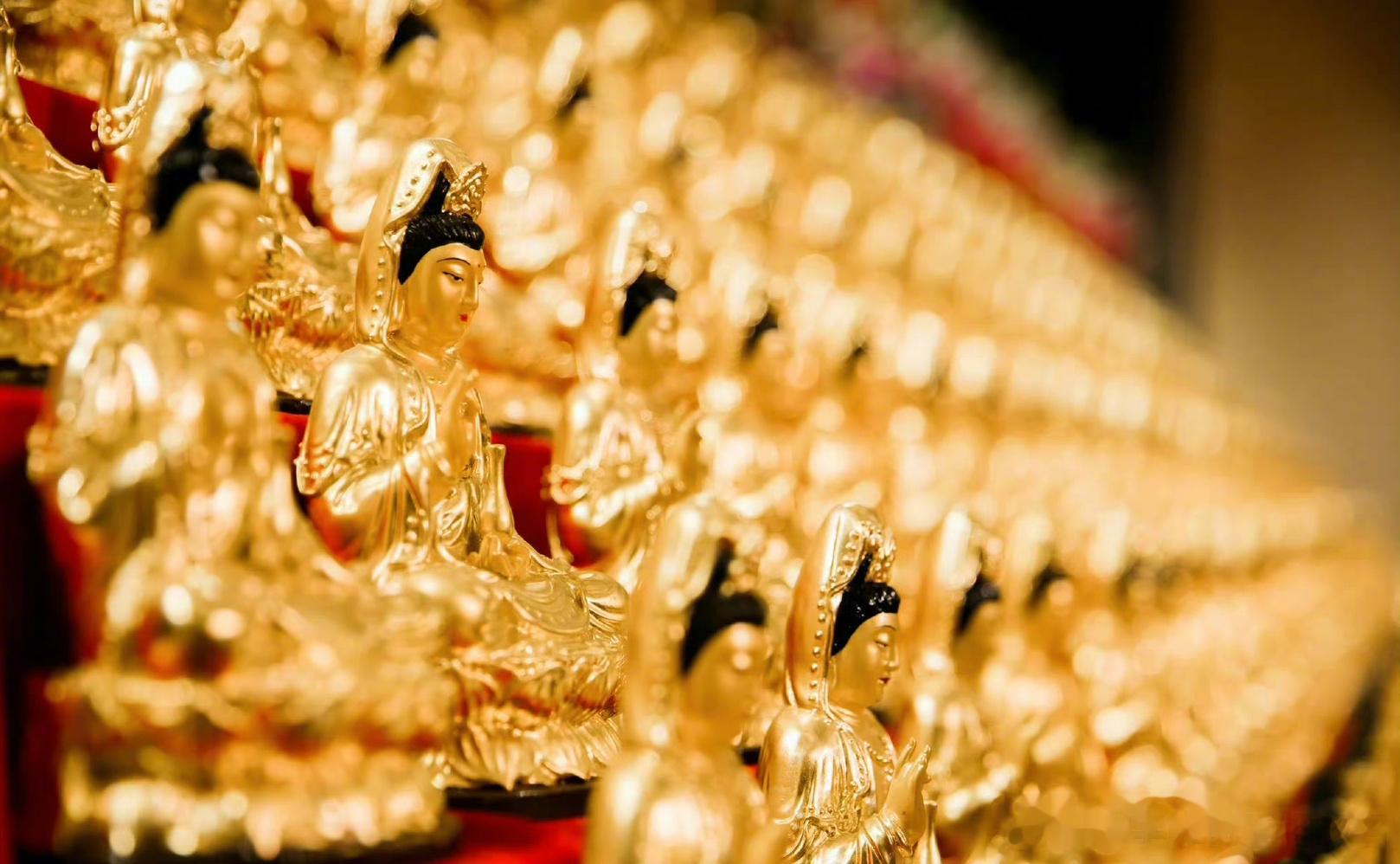 赞者，百病不侵，病毒退散！ ​​​