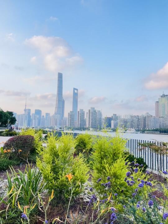 上海还是太好拍了📷