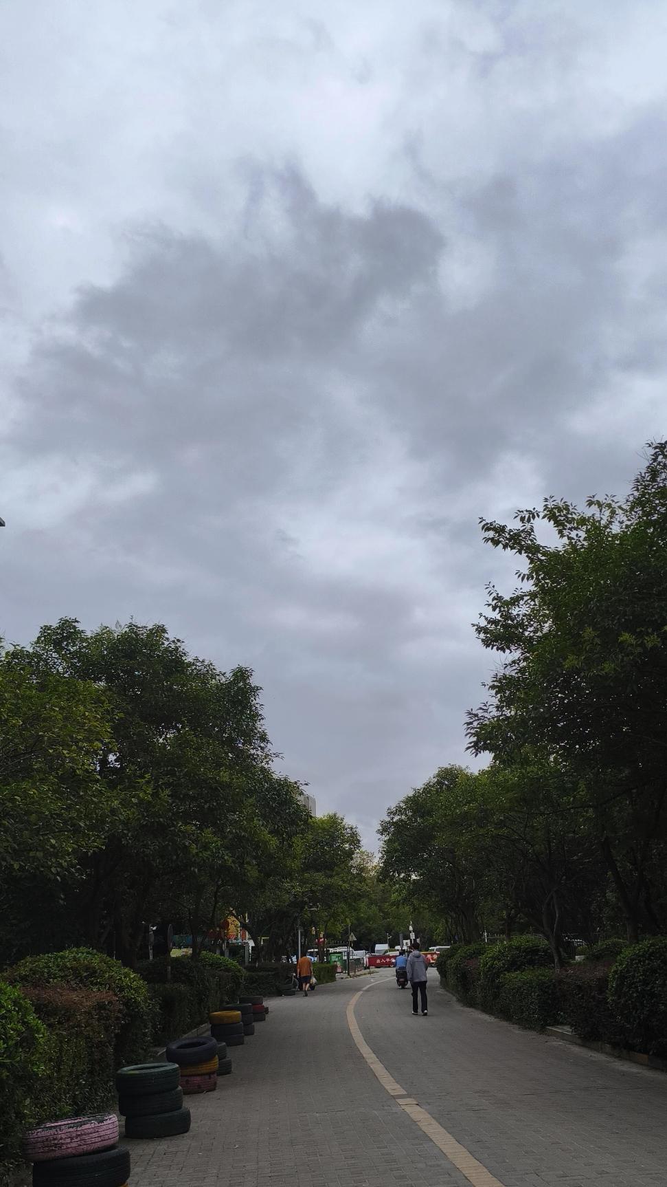 本以为台风“巴威”到南京会狂风暴雨肆虐，可早上就起了点小风，伴着零星小雨，这也太