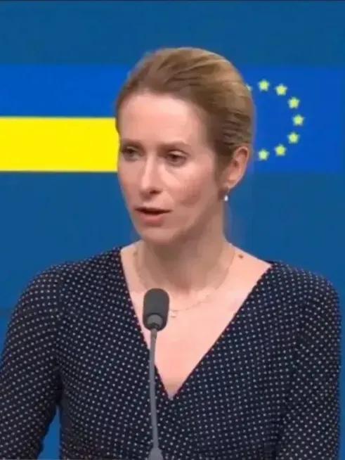 欧盟外长对于美国提出这样方案表示不满，这时候他已经对美国提出将可能对乌克兰实施军
