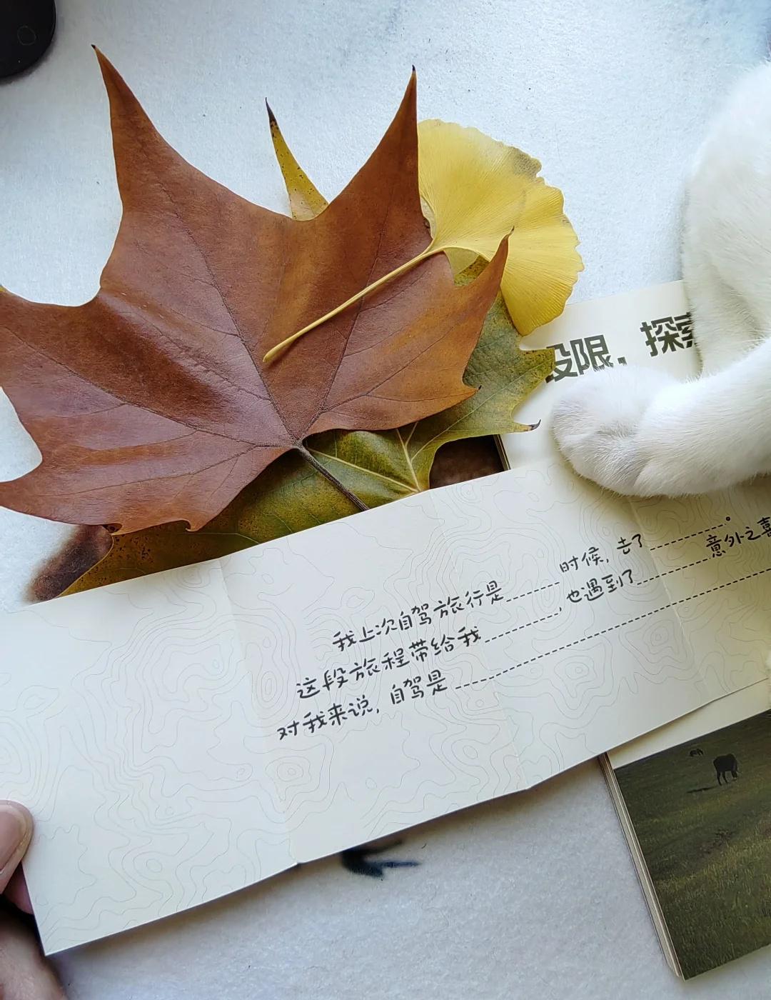 旅行、运动和猫
按原计划今天应该自驾到成都了。遗憾的同时又有惊喜，收到了路书薯的