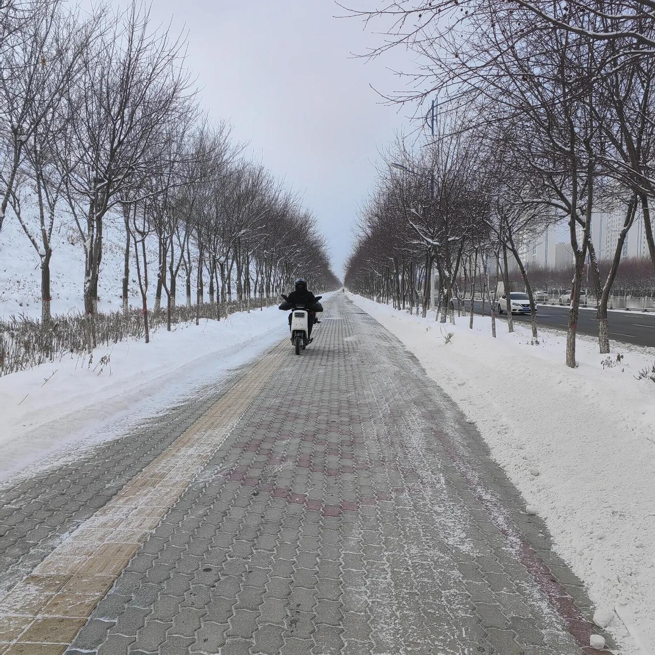 放眼望去高楼整夜有人家亮着灯光

窗外道路上整夜有车来来往往

下雪后环卫工人整