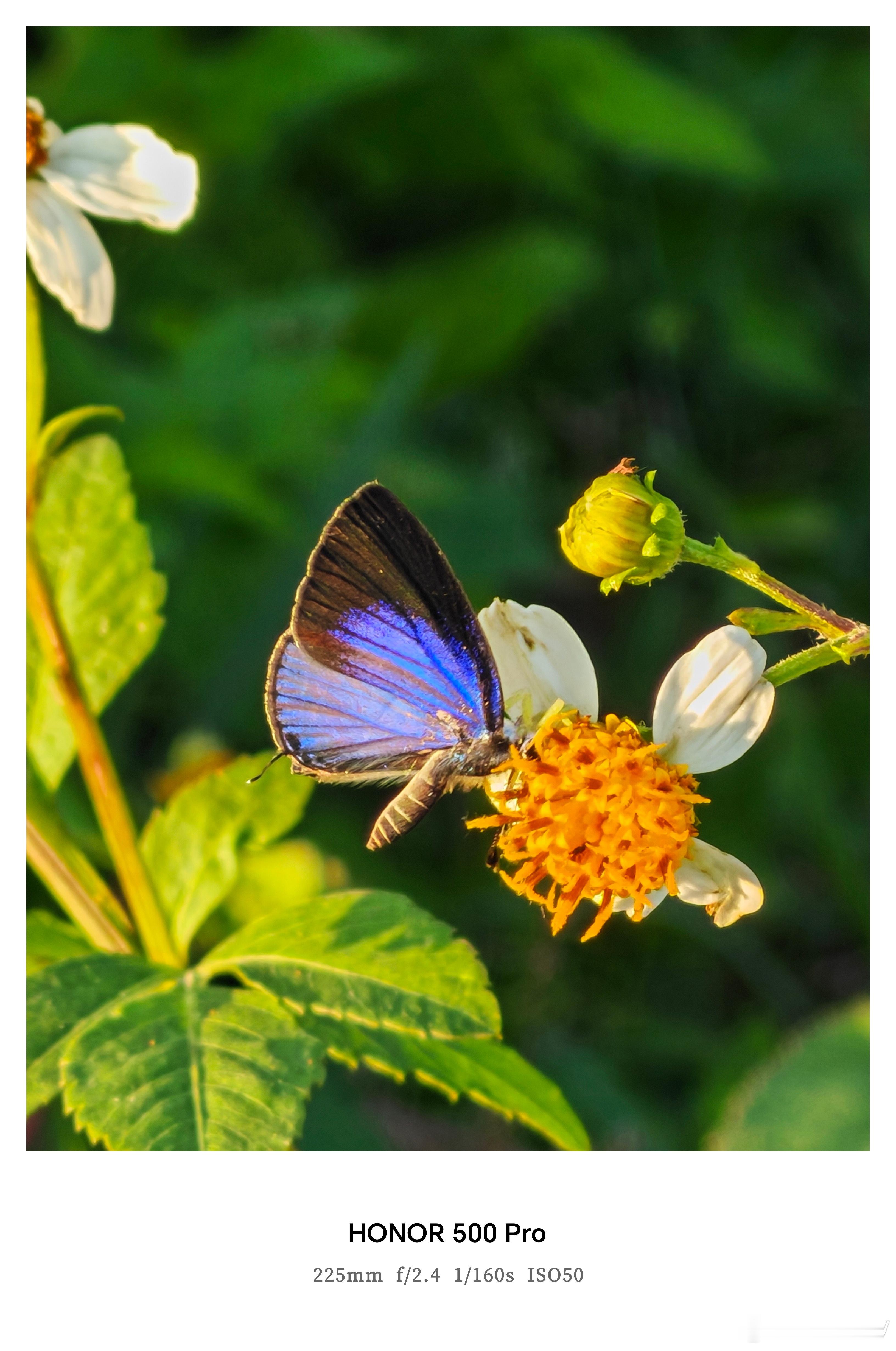 最近一直把荣耀500Pro作为主力机使用，这一款中端旗舰机用着确实非常的舒服，它