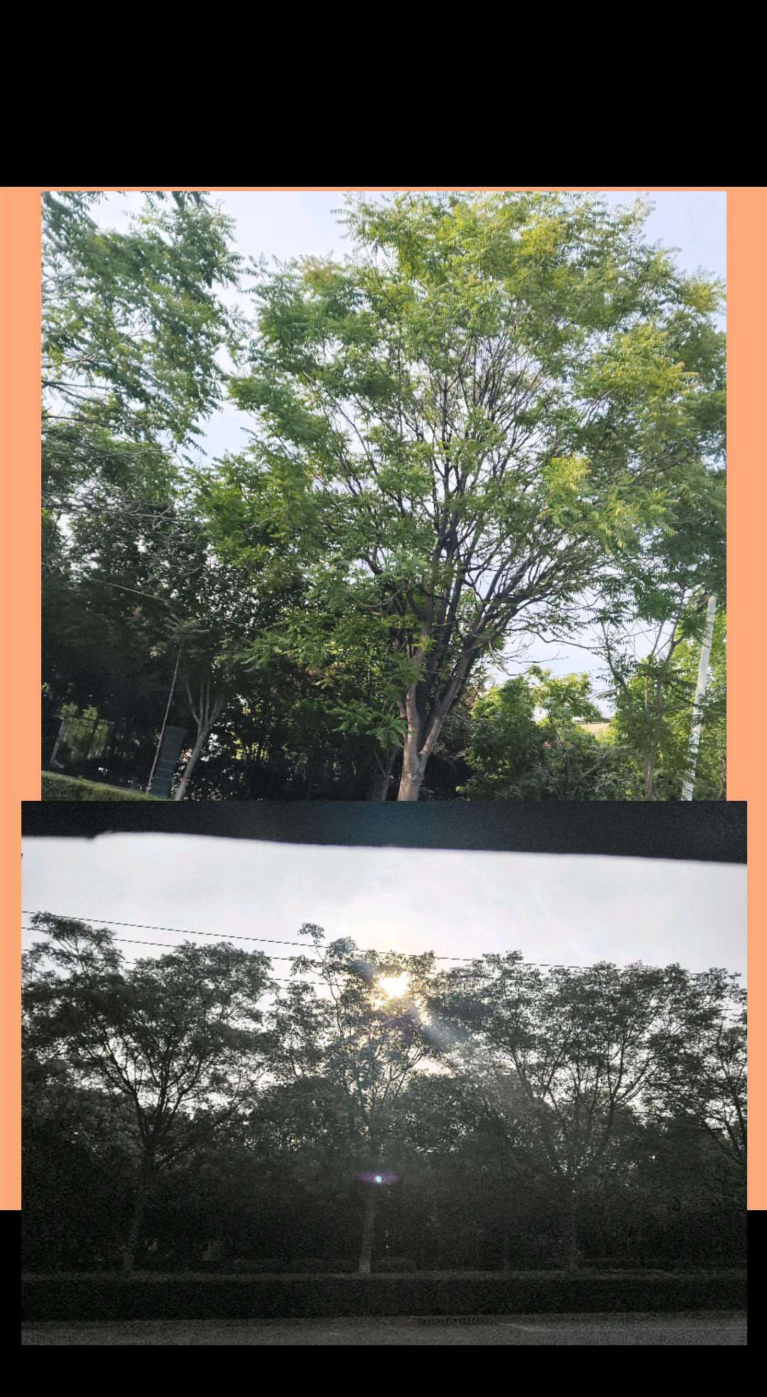 爆涨粉    终于下班了