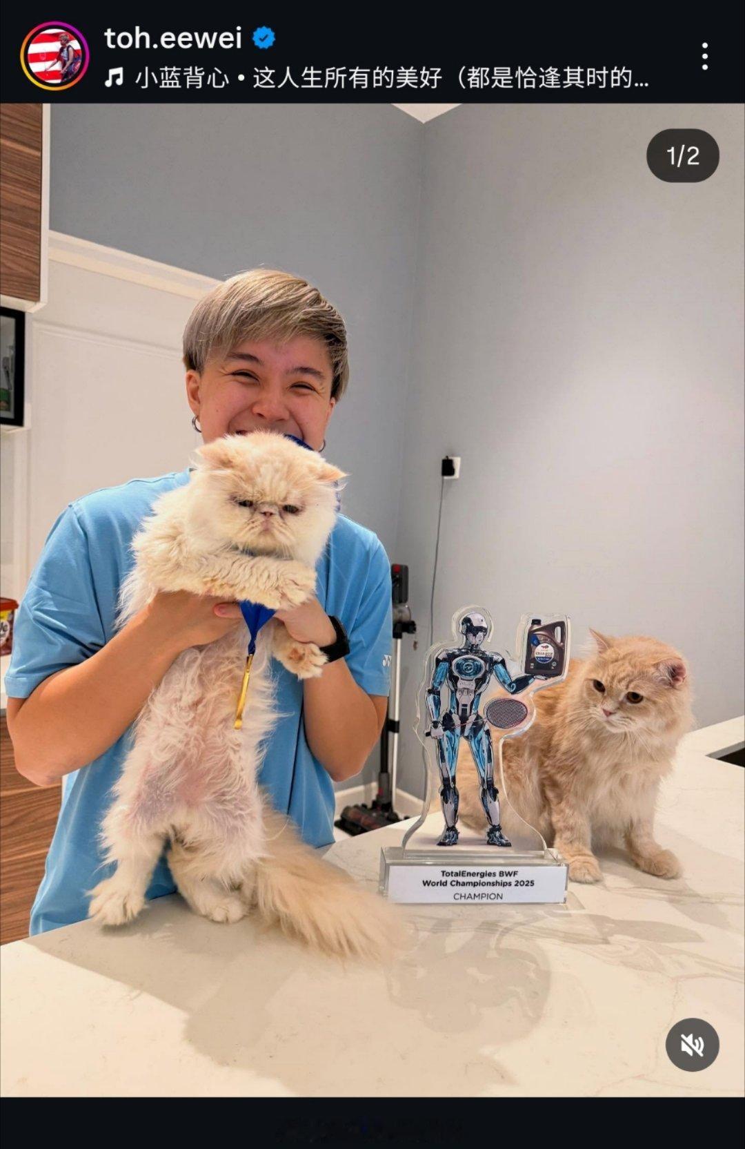 笑得很高兴的小杜和不太高兴的小猫热点现场 ​​​