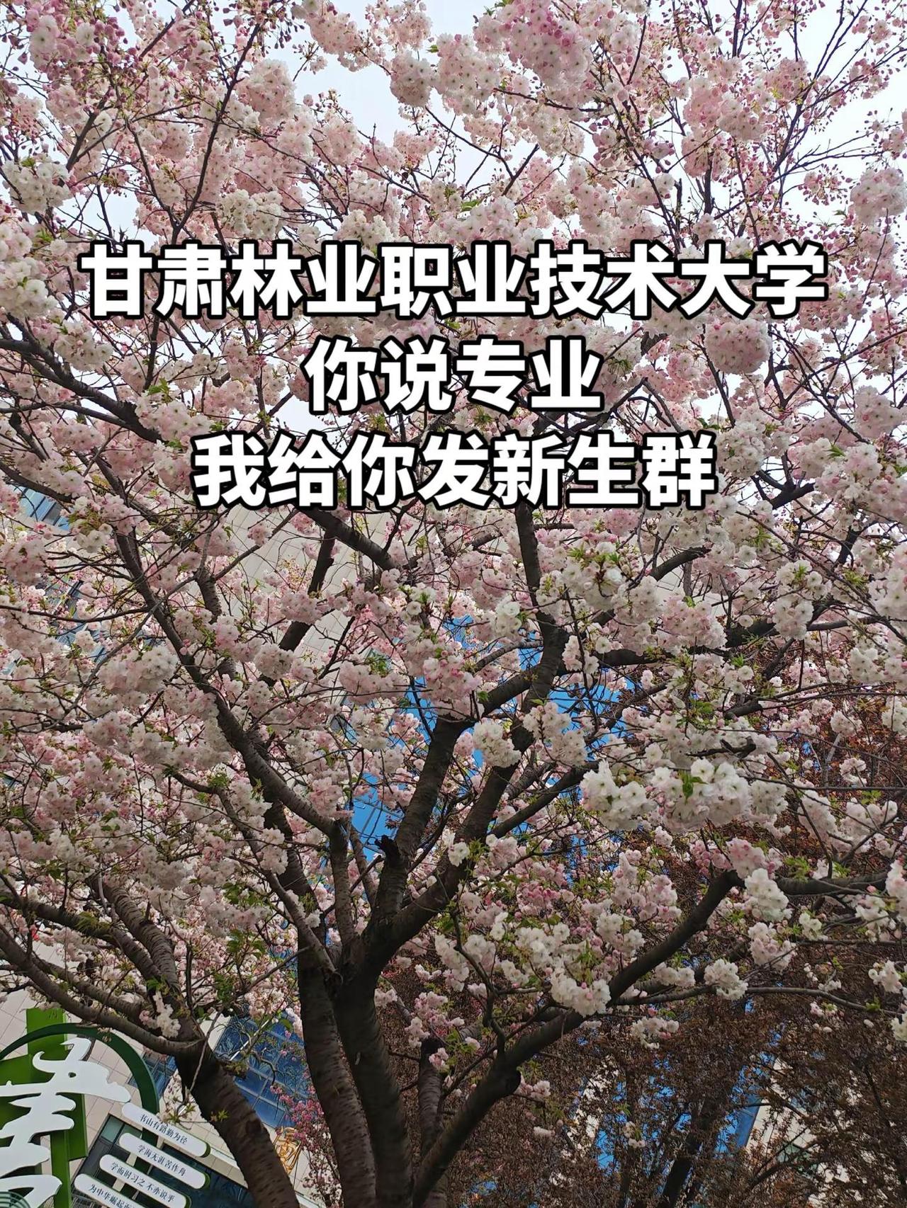 甘肃林业职业技术学院甘肃林业职业技术大学专科录取结果专科征集志愿新生群