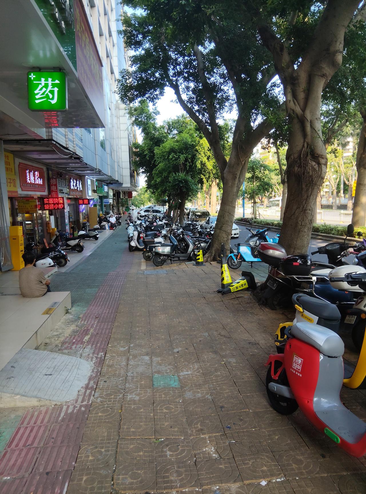 这几天天气奇热，室外温度37度38度，不敢出门。
今天出外走走，街道树荫下倒不是