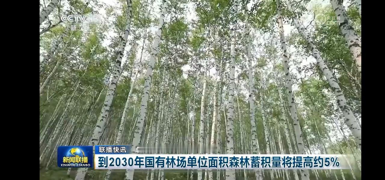2030年国有林场森林蓄积量将提高5%，守护绿色家园！🌳💚