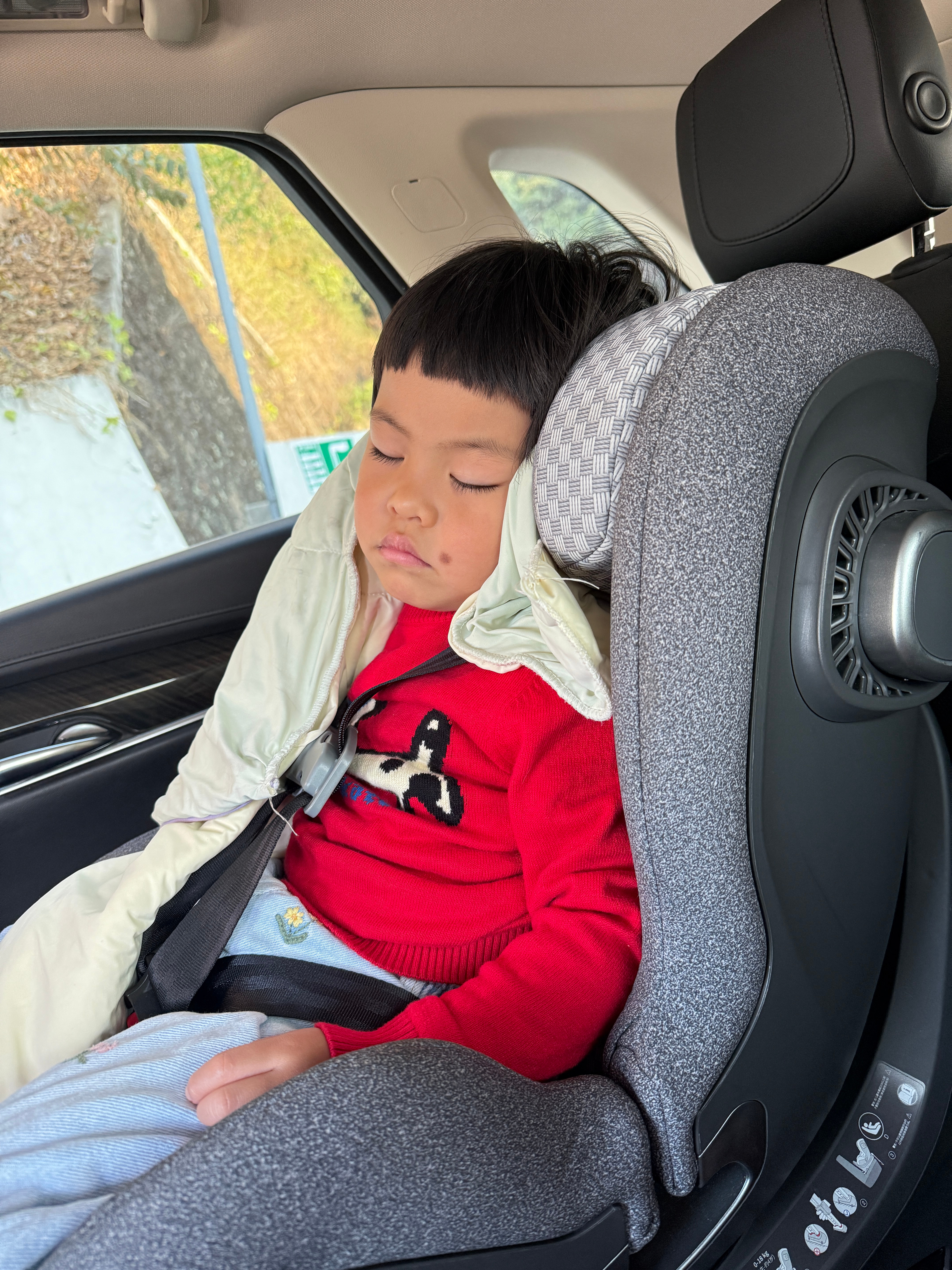 车开了不到两百米就睡着了像这种中午不开车or推车就睡不了午觉的小朋友，去到幼儿园