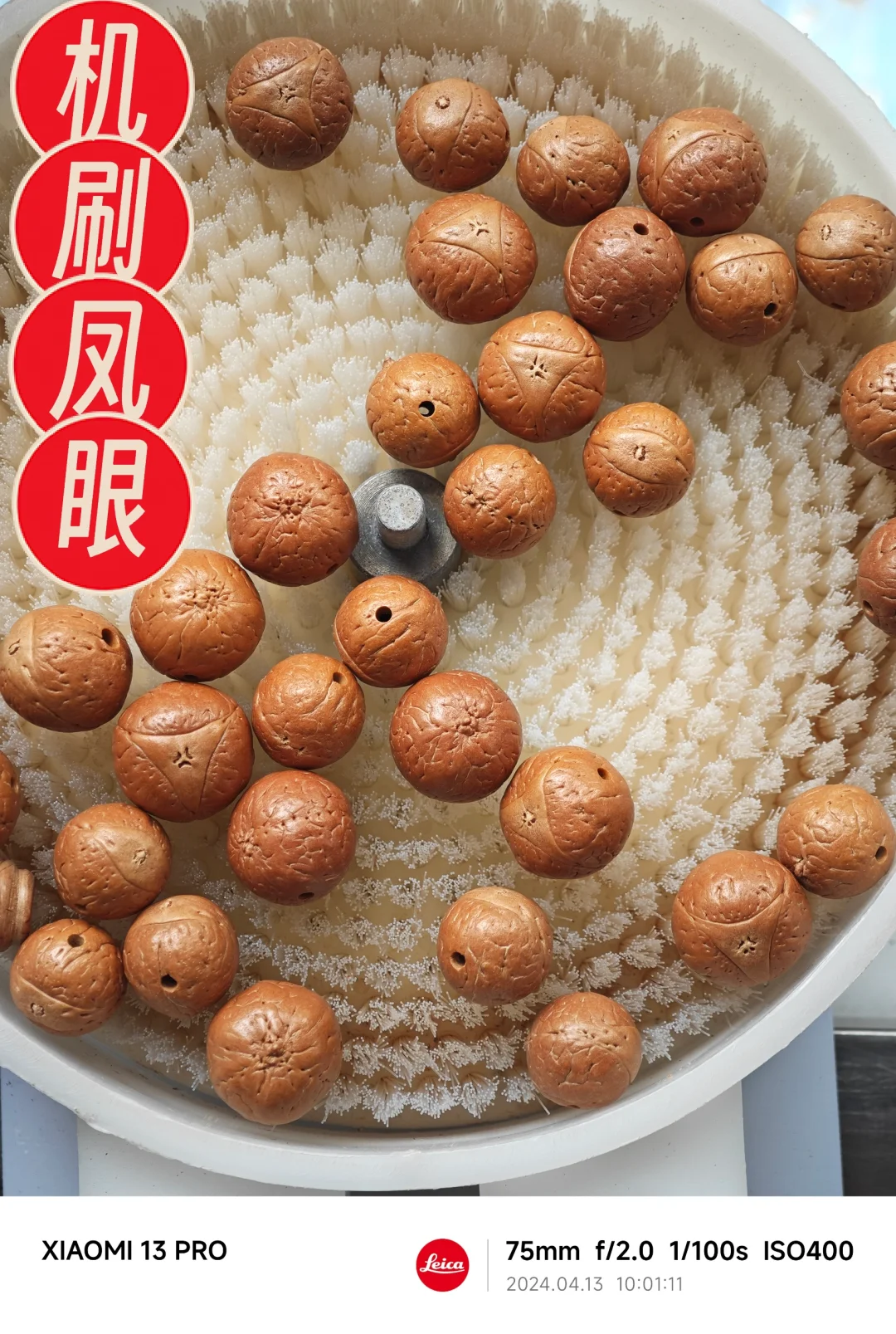 NO.448 机刷凤眼菩提，凤眼能不能用刷子刷