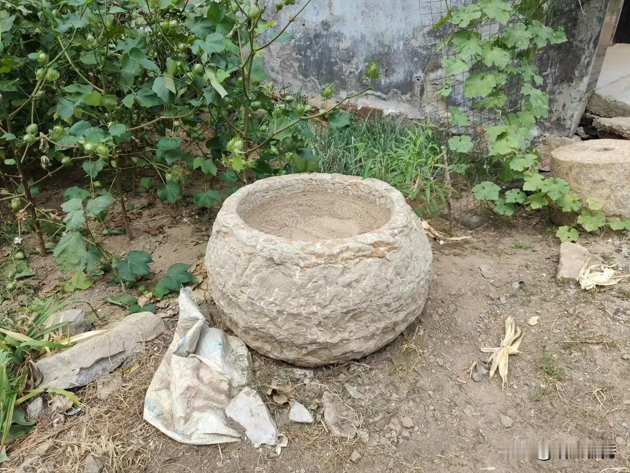 不知道是干嘛用，在堽城屯东村拍到的[大笑]