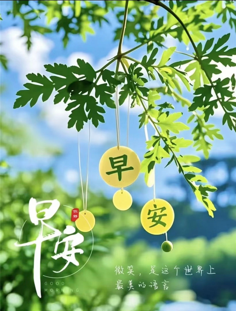 🌿🍳²º²⁶/₀₆.₀₆ ღº ✐ ᴹᴼᴿᴺᴵᴺᴳ☀️生活，不会总是晴空万里