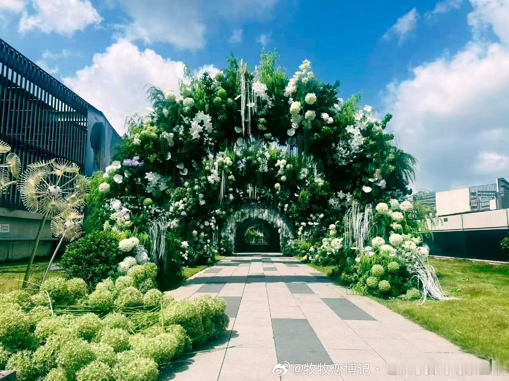 我们是这样分工明确的摩托姐姐只爱王一博 💚王一博托姐公开秀恩爱