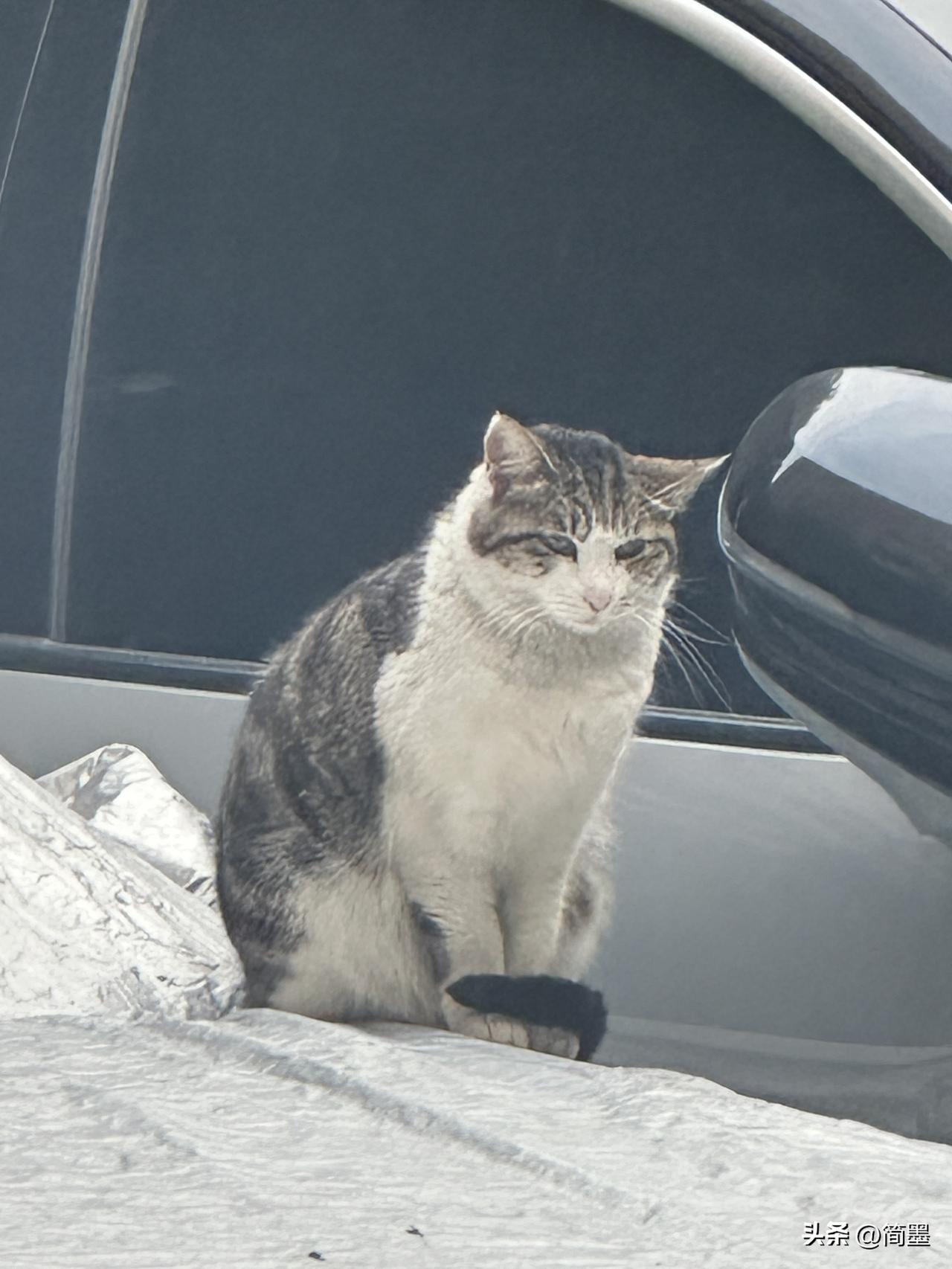 春日生活打卡季