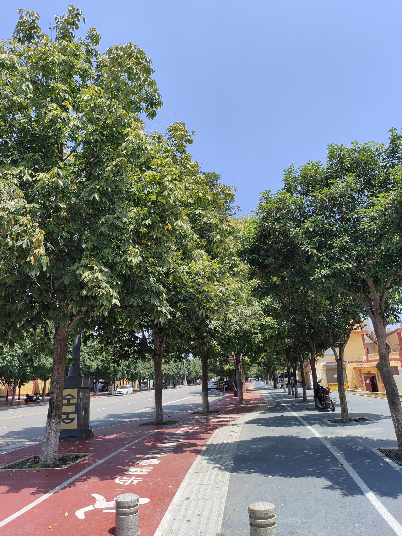 1. 夏日街道绿树成荫，阳光洒落一地树影，小城平淡的烟火时光。
​
2. 走在绿