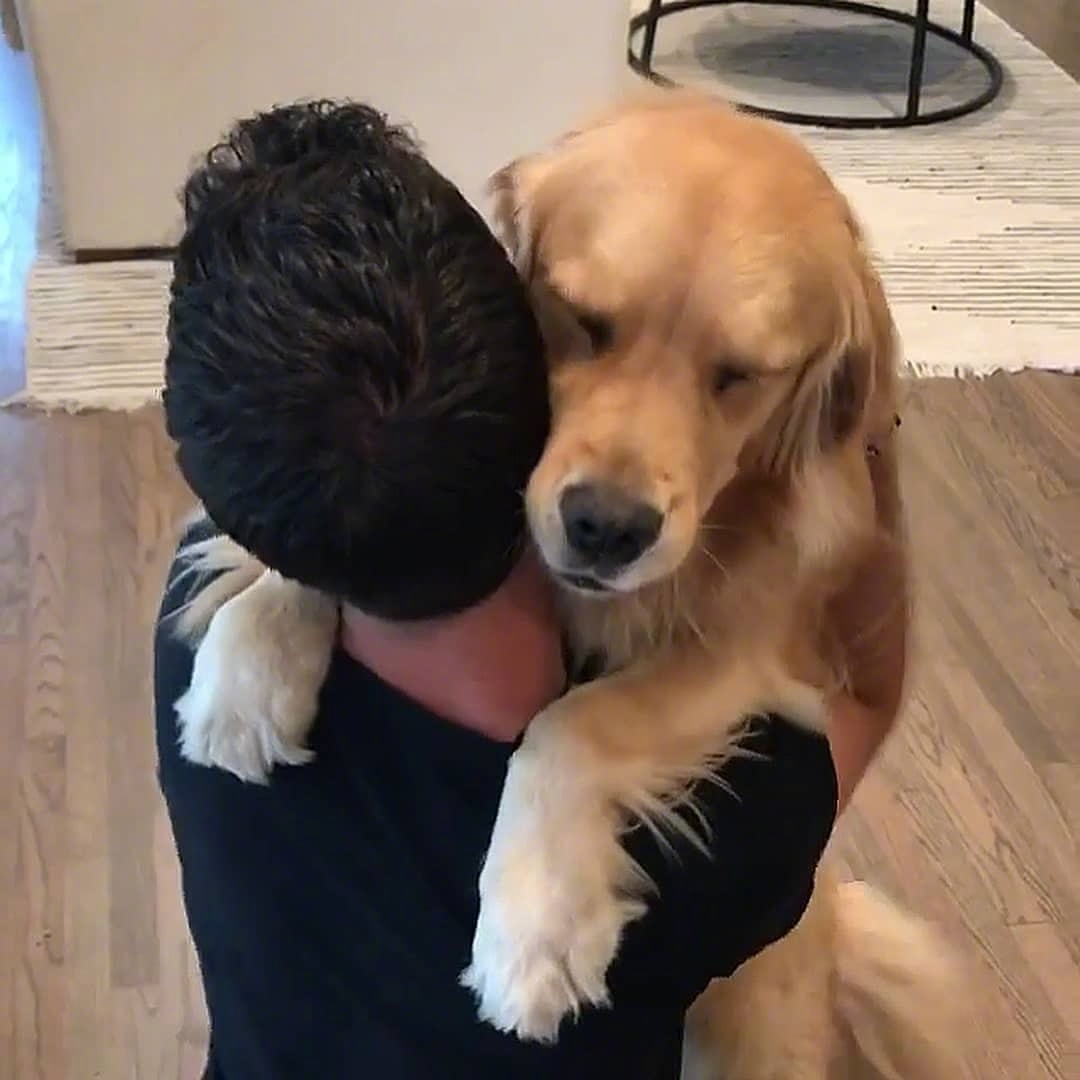 大暖男的拥抱和陪伴是这世界最好的礼物