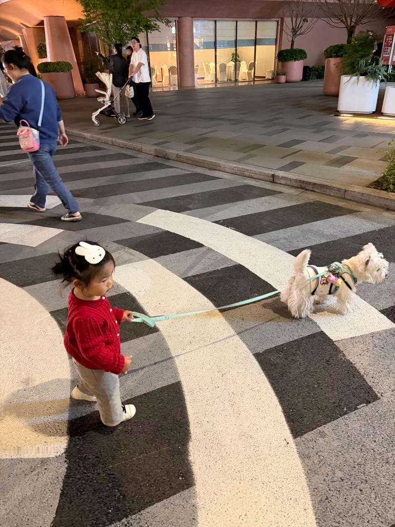宽带娃日常