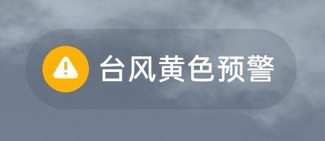 没想到有一天在安徽也能体会到台风 