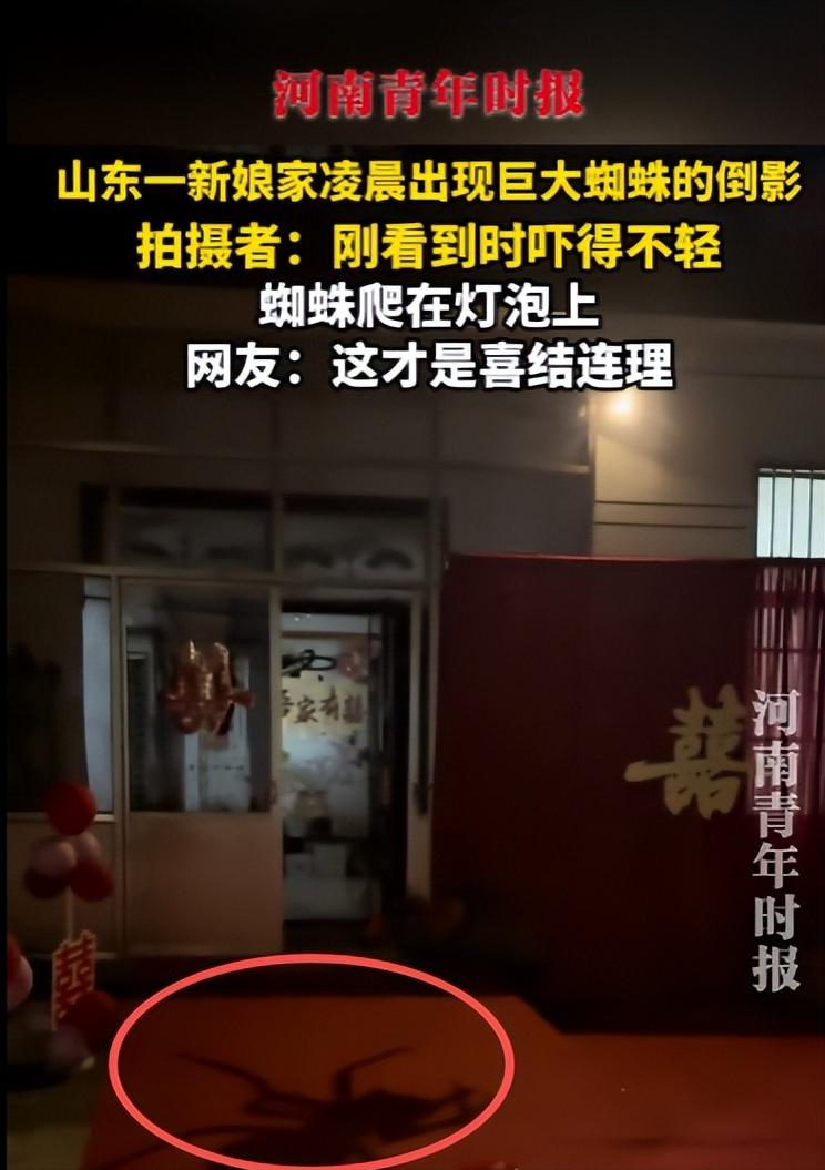 10月15日，山东菏泽，一新娘家凌晨3点竟然出现巨大的蜘蛛倒影，还在不停地爬动，