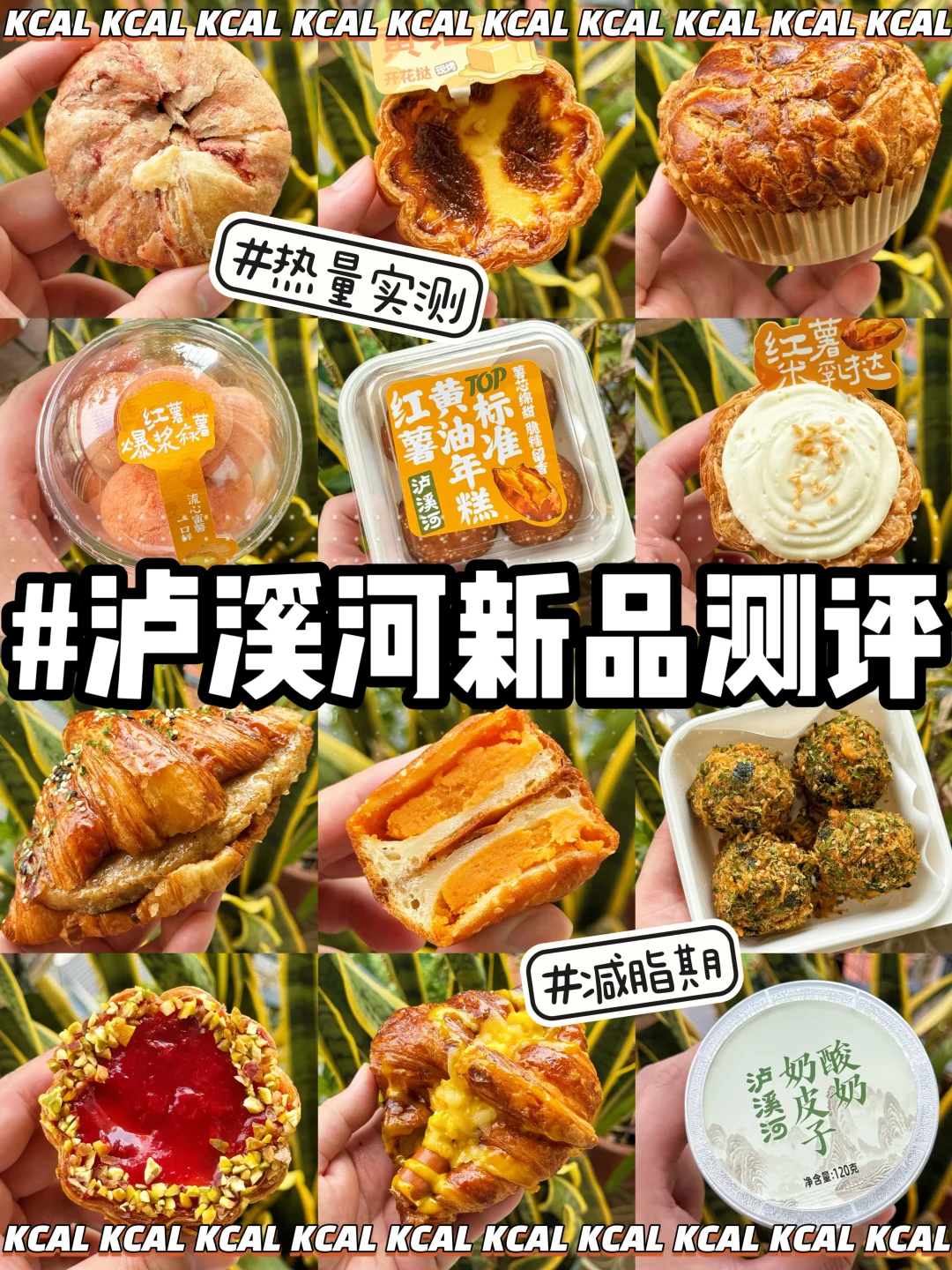 泸溪河热量测评‼️新品🆕92款点心全拆解