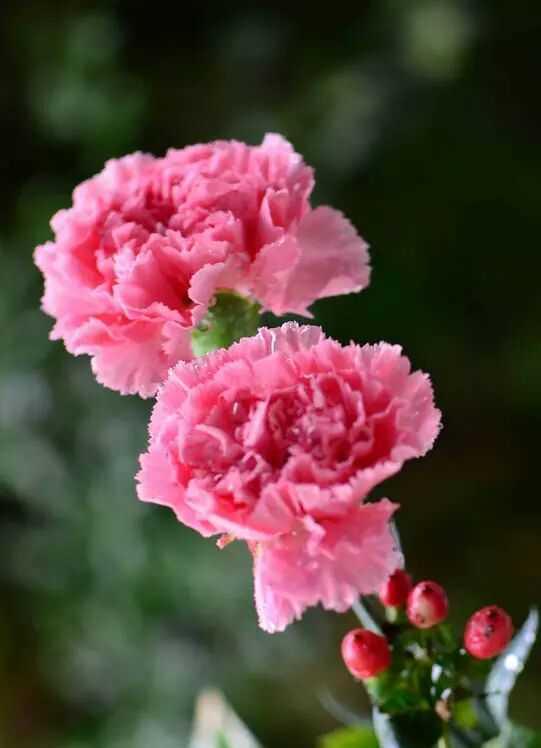 周二盘后突传重磅利好，踏空者可密切关注这一方向！
周二盘后重磅利好：
一、据媒体