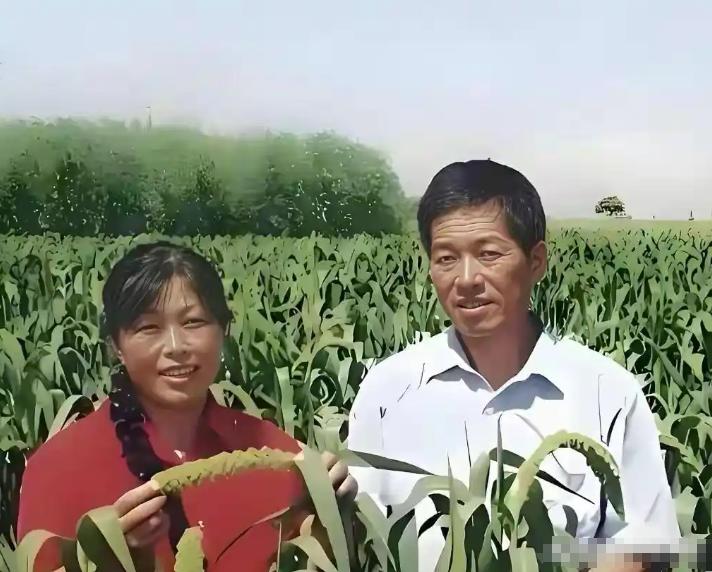殷玉珍每年进账百万的诀窍，她的收益主要来自四个途径。1985年，在内蒙古乌审旗，