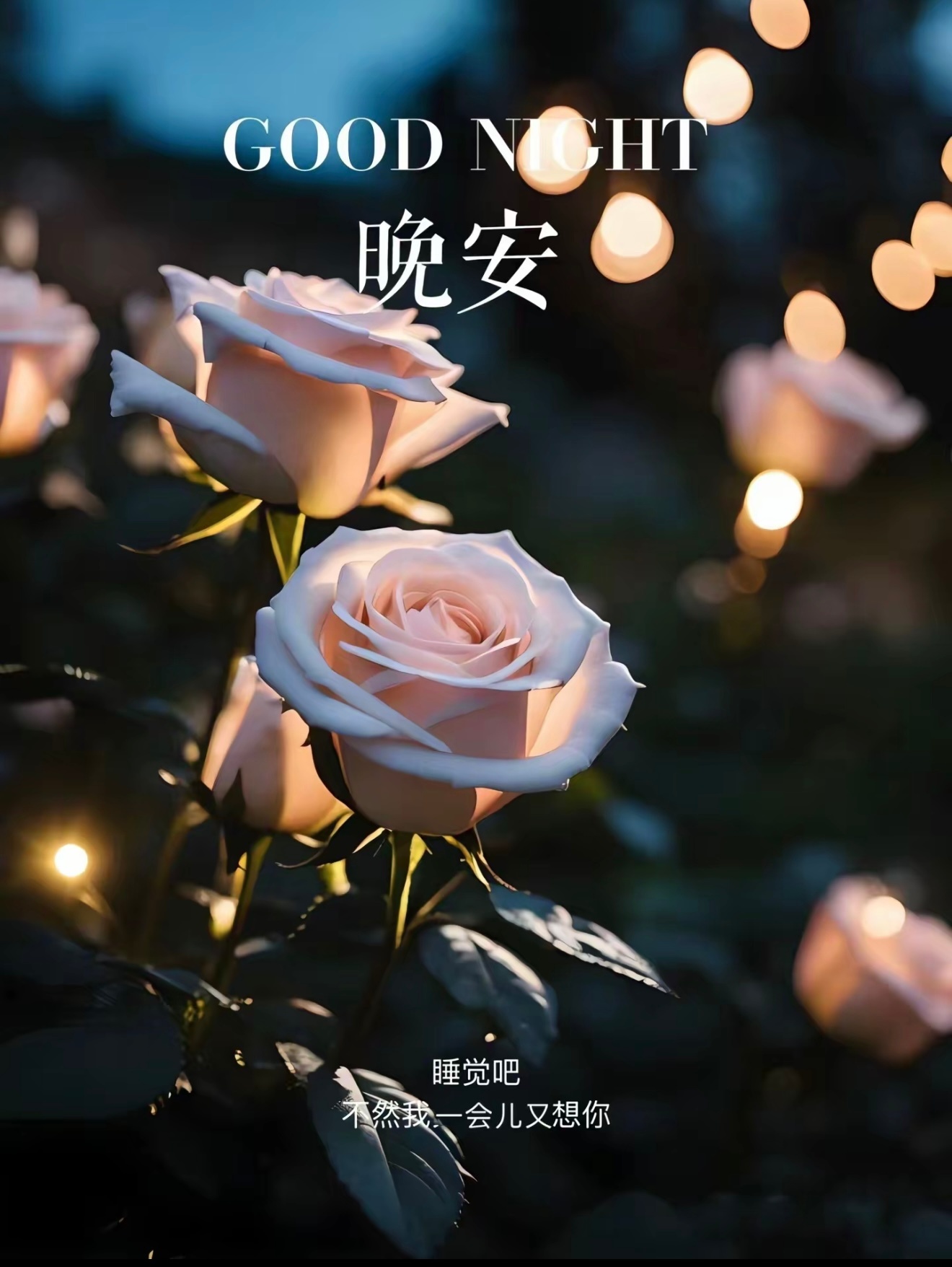 晚安 夜色包裹住世间所有浮躁，卸下一路背负的压力与委屈。人来人往皆是常态，坚守本