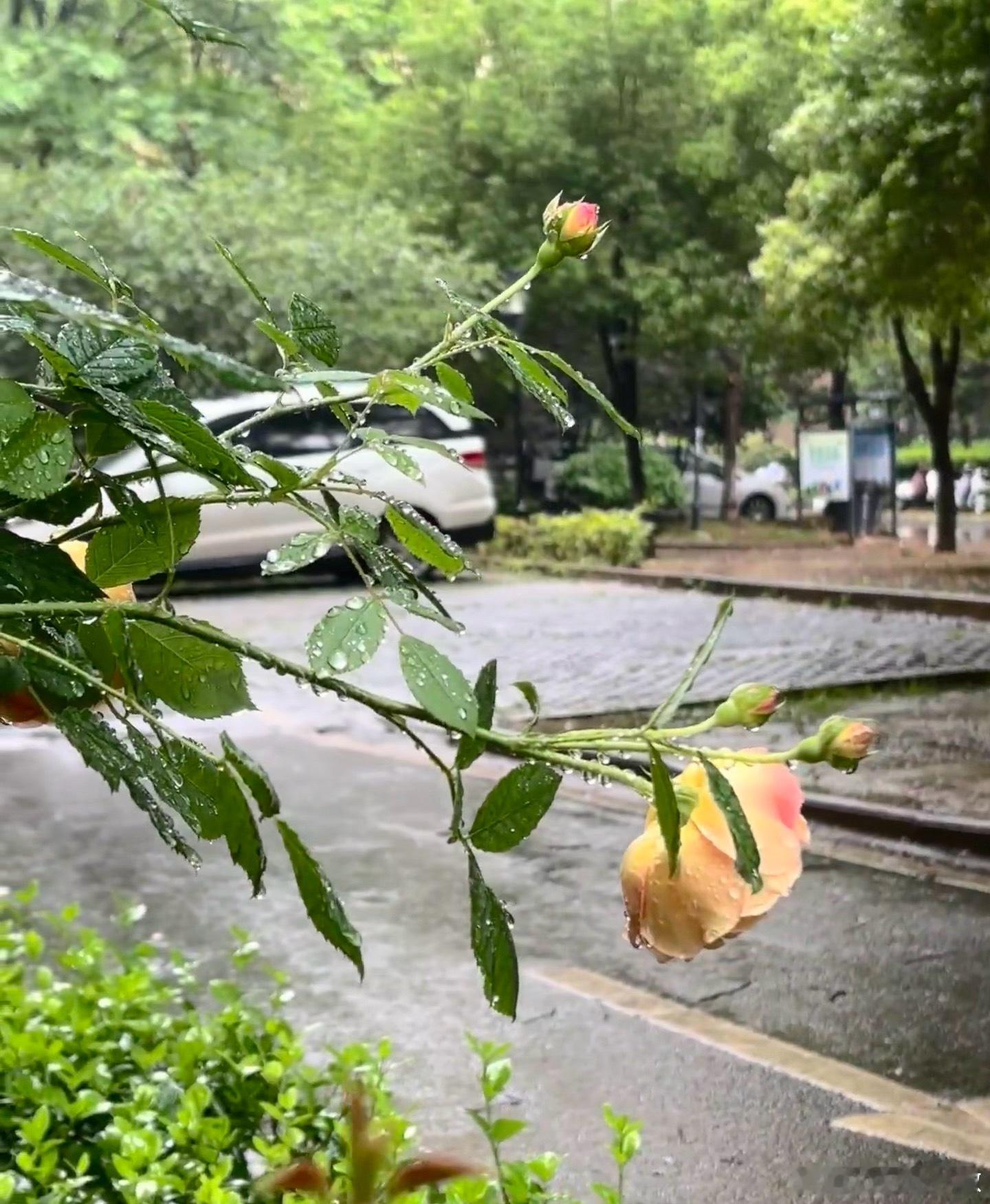7月16日早盘重要财经资讯汇总1、美股三大指数集体收涨，道指涨0.29%，纳指涨