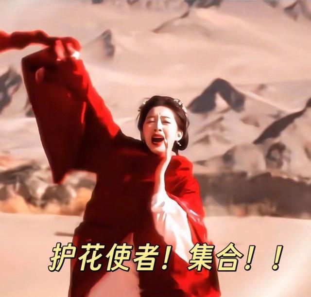 看完8集成护花使者了 不敢相信《花开锦绣》才播8集，信息量直接拉满！男女主事业线