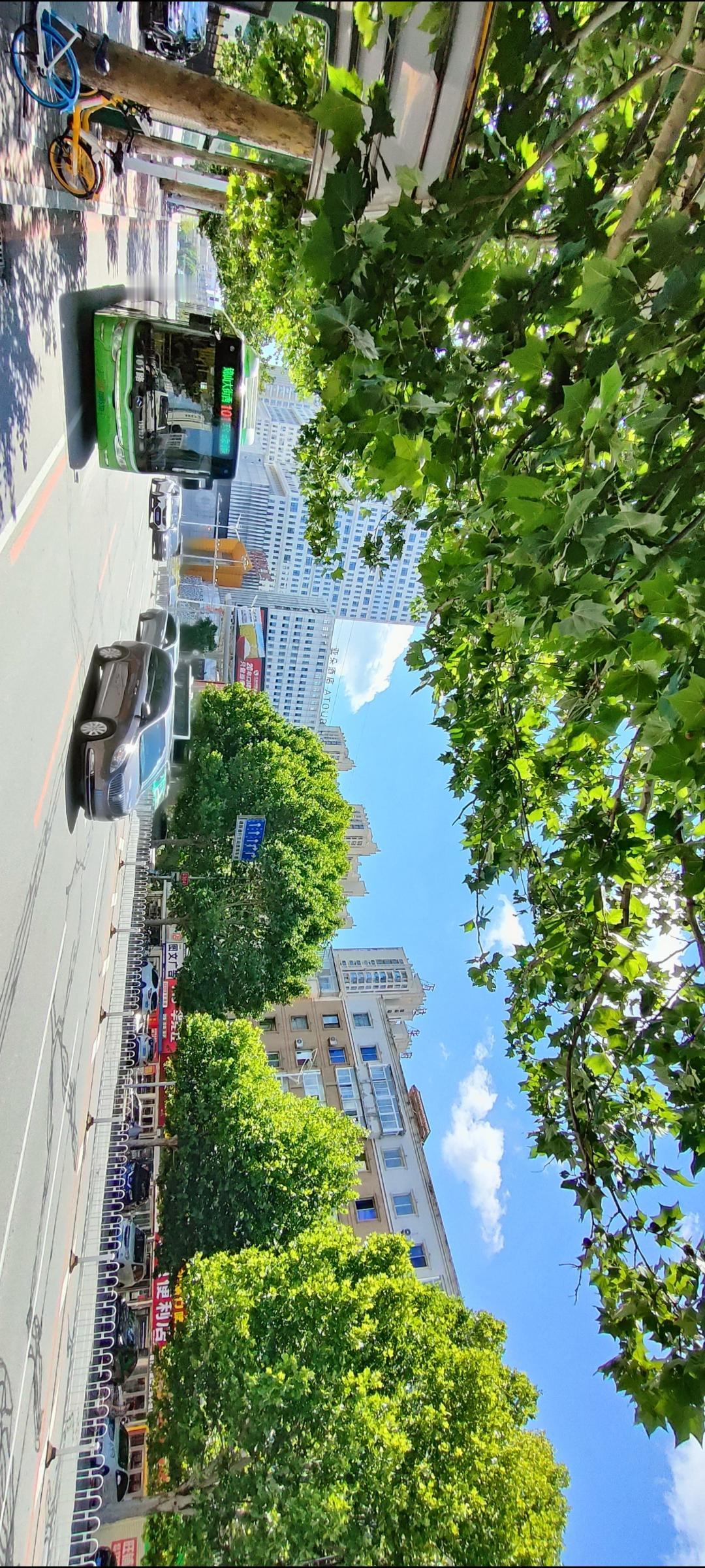 城市绿荫下的繁华街景，阳光洒满的美好时光。🌞🌳🚌