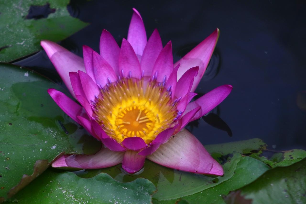 人生很累，你现在不累，以后会更累；人生很苦，你现在不苦，以后会更苦。唯有经历过，