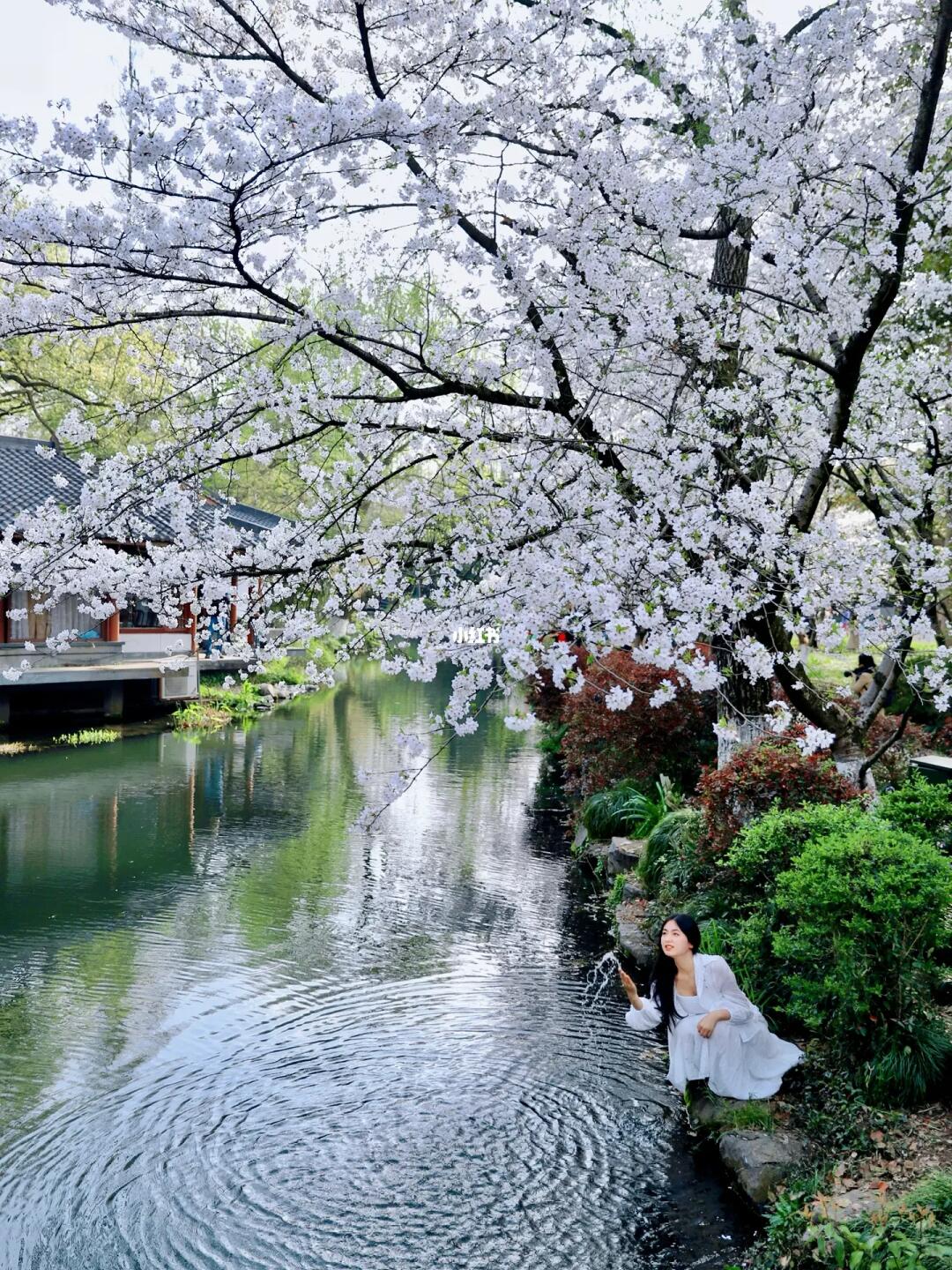 以为西湖很美了，直到我去了这里…（附路线）