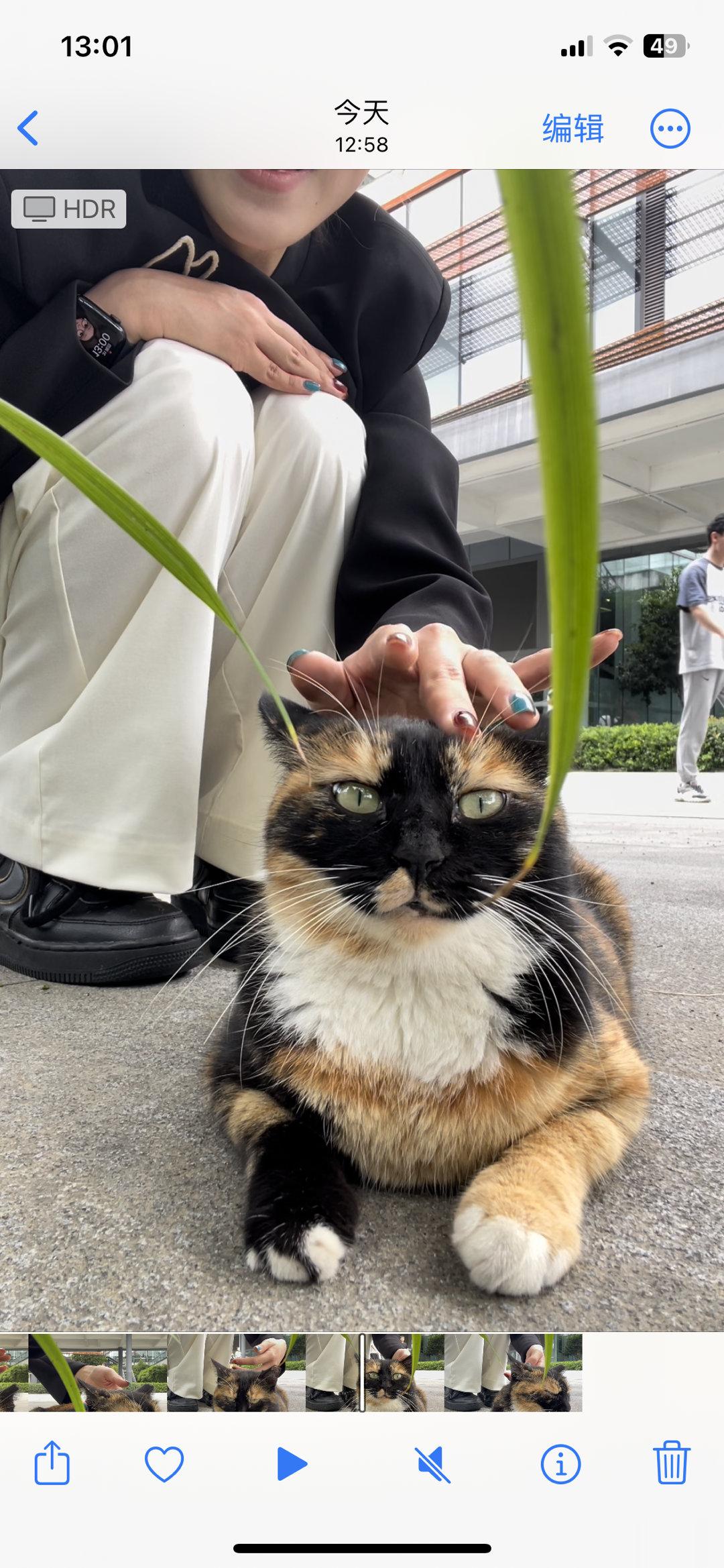 怎么会有这么乖的乖宝啊[泪] ​​​