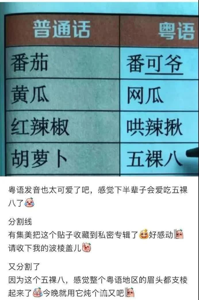 网友太有才了，哈哈哈哈哈哈哈哈哈 