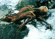 1991年，一对夫妻攀登3000米的阿尔卑斯山时，发现了一个趴在雪中赤裸的冰人。