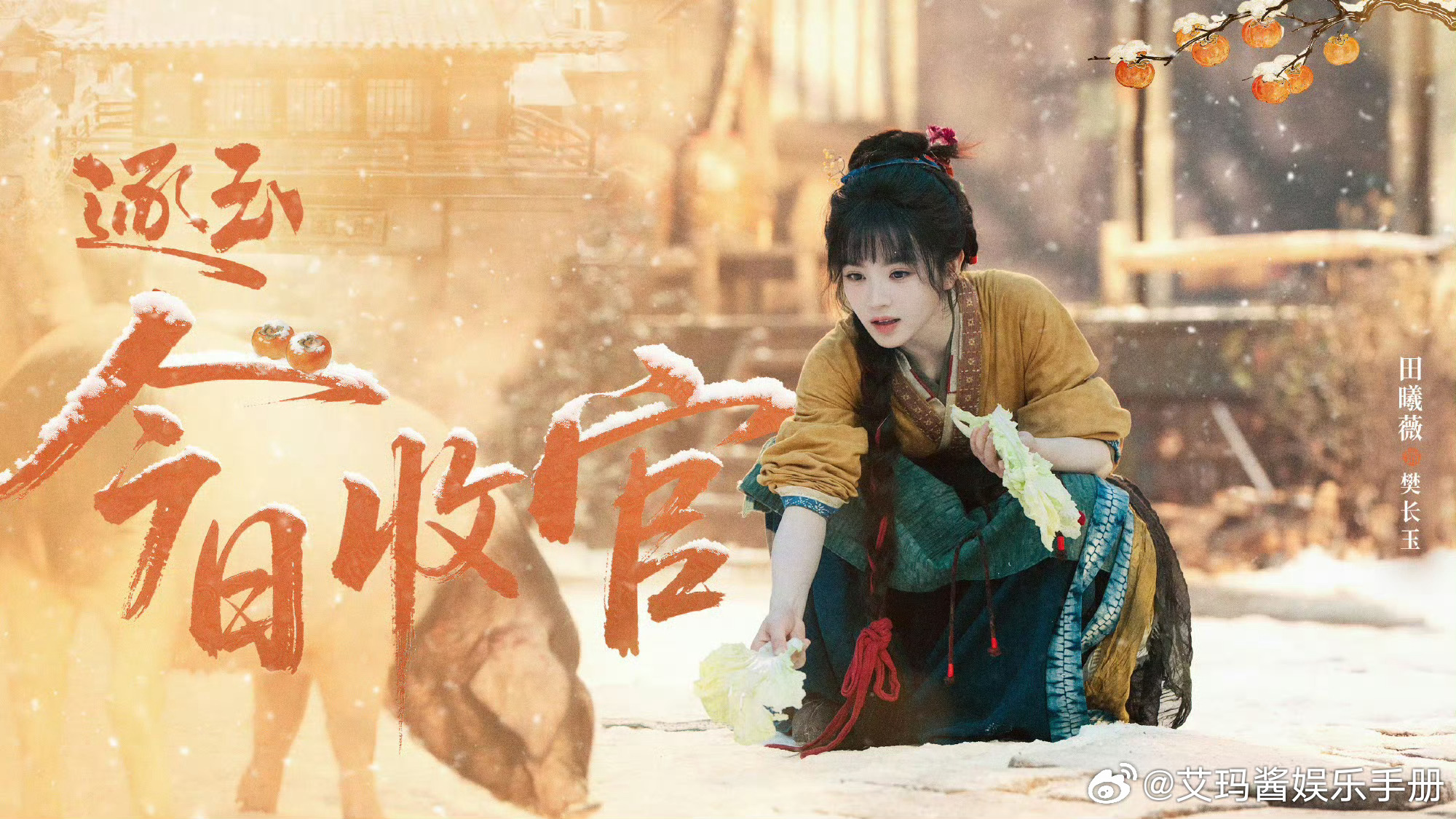 报！张凌赫 田曦薇 逐玉拿下🐧近一年剧集拉新周榜无压制第30天第一，什么水平？