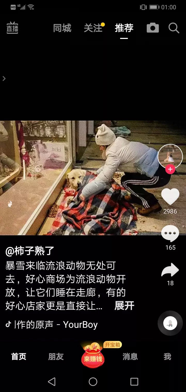 暴风雪来临了，流浪狗无家可归，好心的商场为流浪狗开放，让它们睡在走廊。有的商场甚