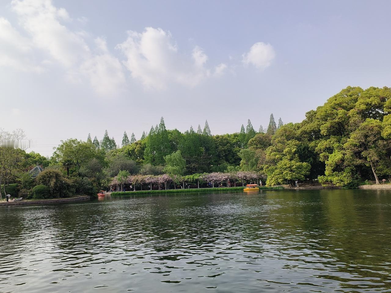 愿新年，胜旧年；愿你我，皆如愿。烟火向星辰，所愿皆成真。