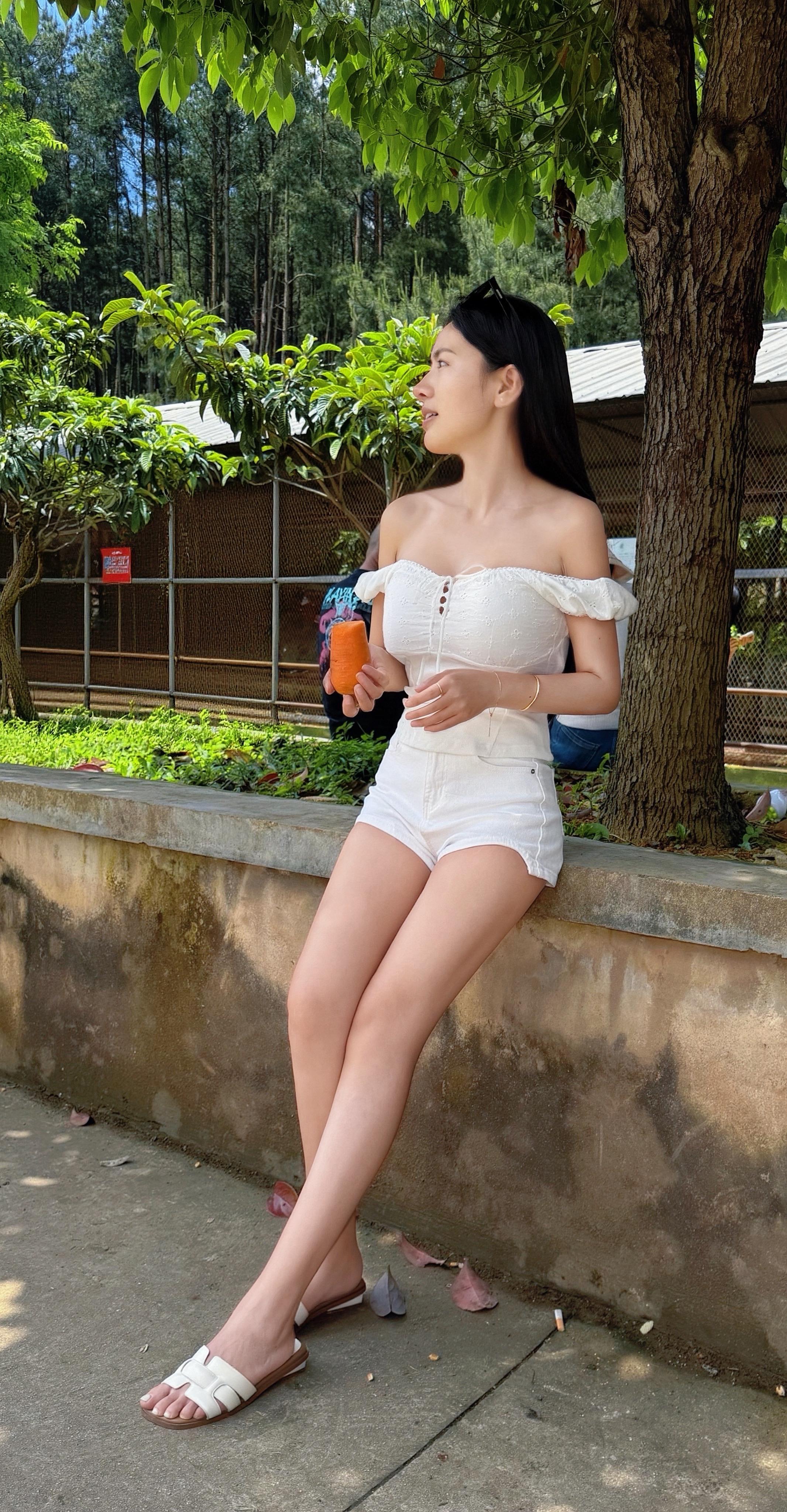 🖇 𝒁𝑶𝑶 游园记