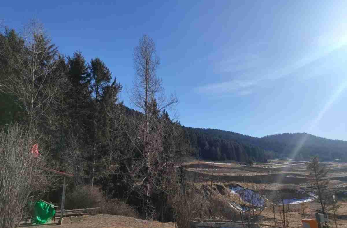 我的今日状态：😁轻松愉快
我这里的天气：☀️晴天
大家完全可以看到我图片当中的