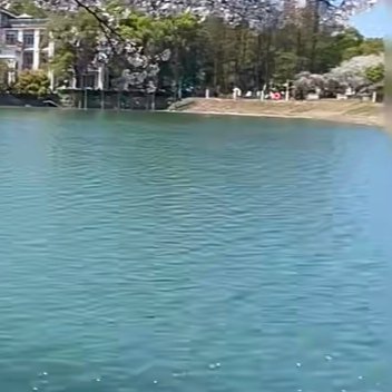 每日一善  每日一善   阳光信用 相信梦想是价值的源泉，相信眼光决定未来的一切