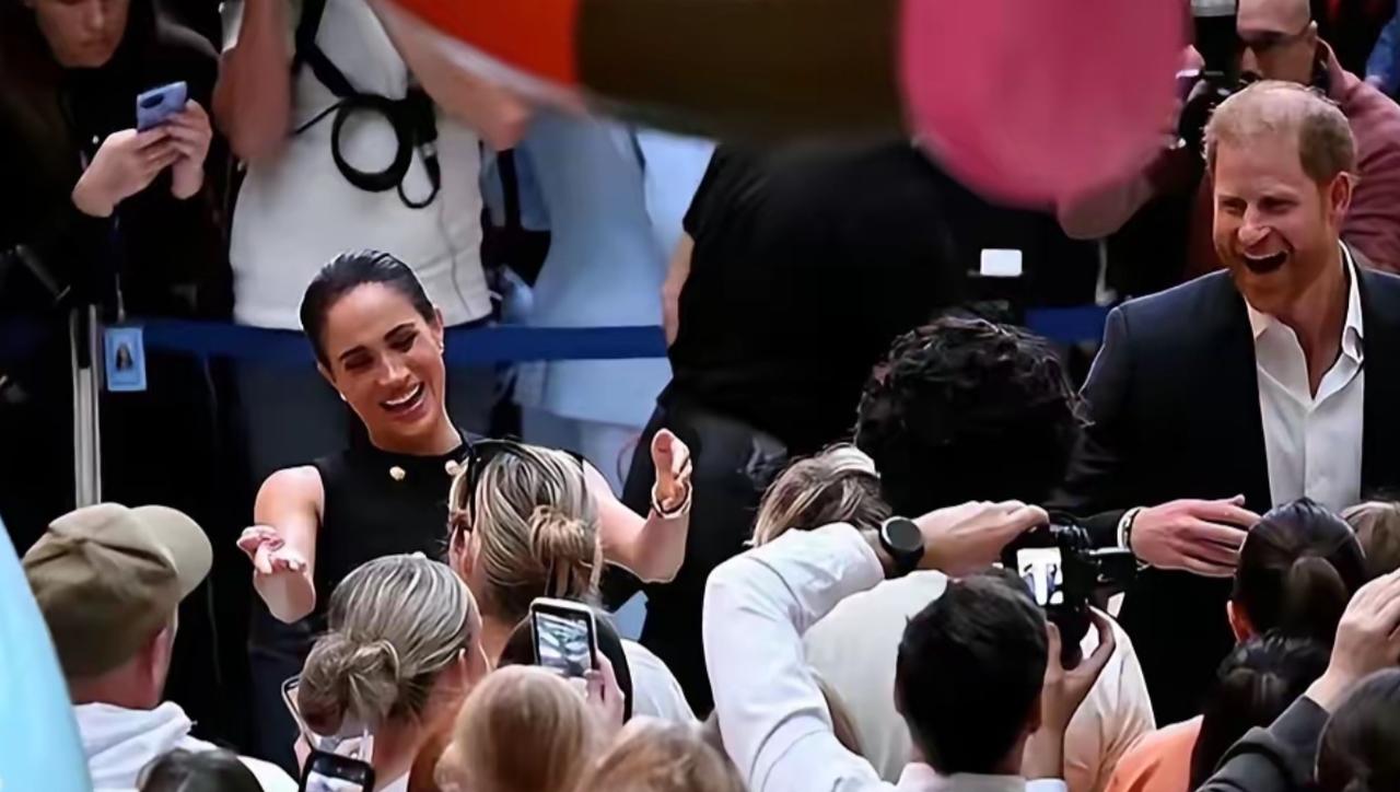 如果牠们不是往死里作的话，这些都本是牠们的日常！

刷到哈里梅根在澳大利亚的活动