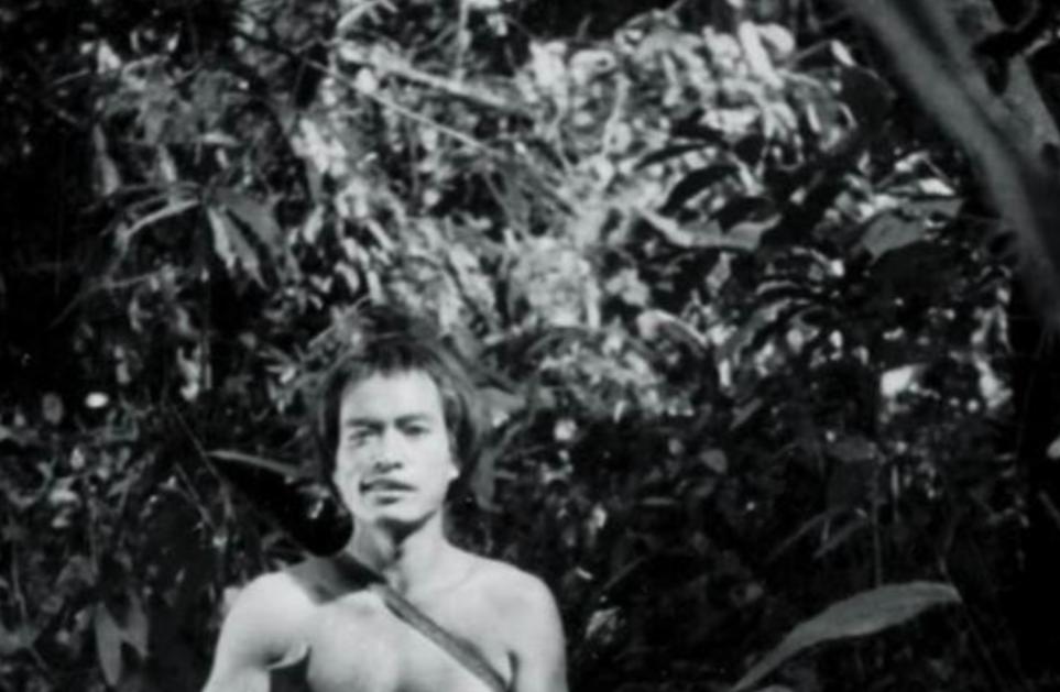 1956年，云南的深山中，发现了一群生活在原始状态下的“隐士”。这些人衣衫褴褛，