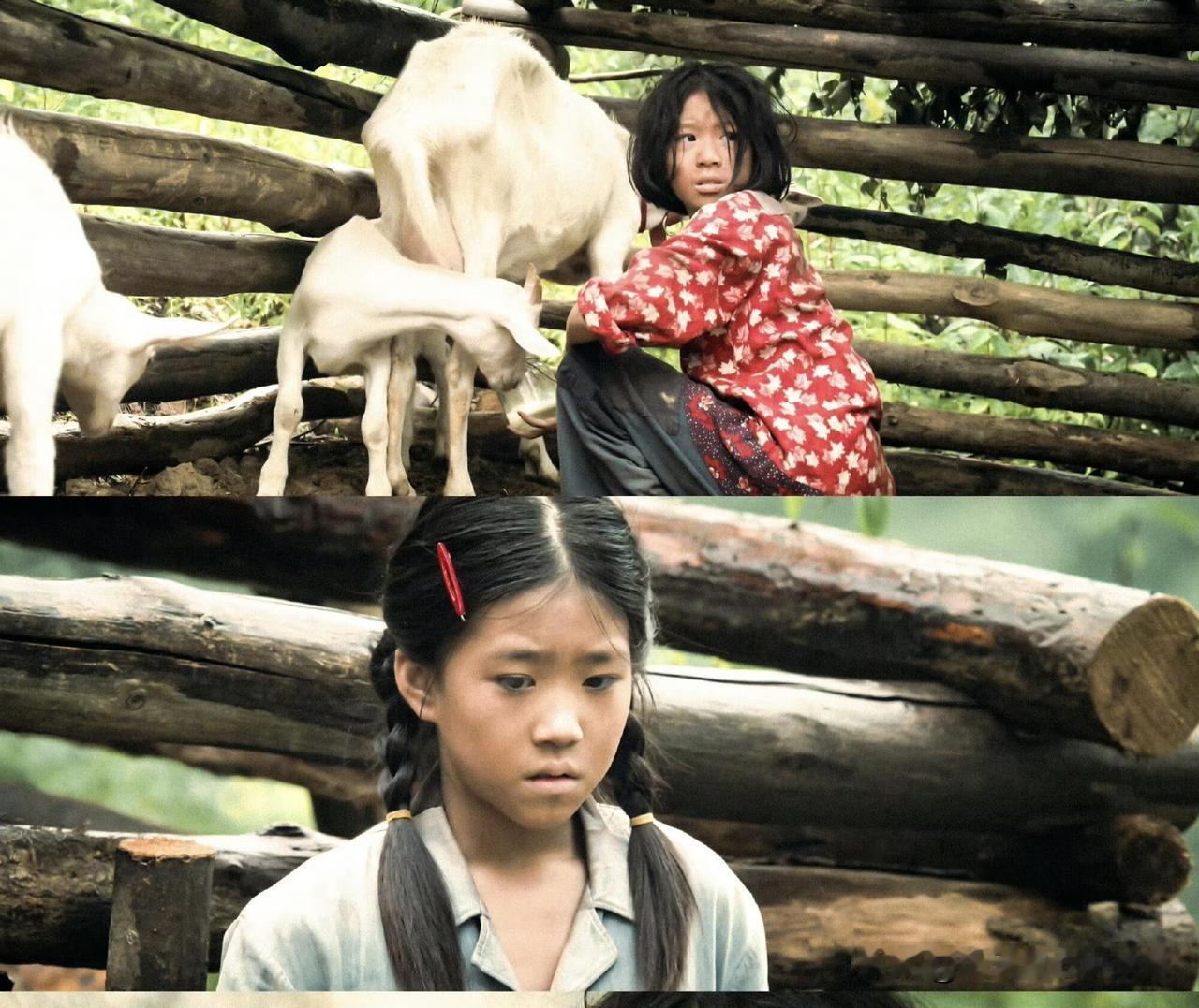 电视剧主角中如果当年拿到剧团名额的是姐姐盼弟，姐妹俩命运互换，故事又会是什么模样