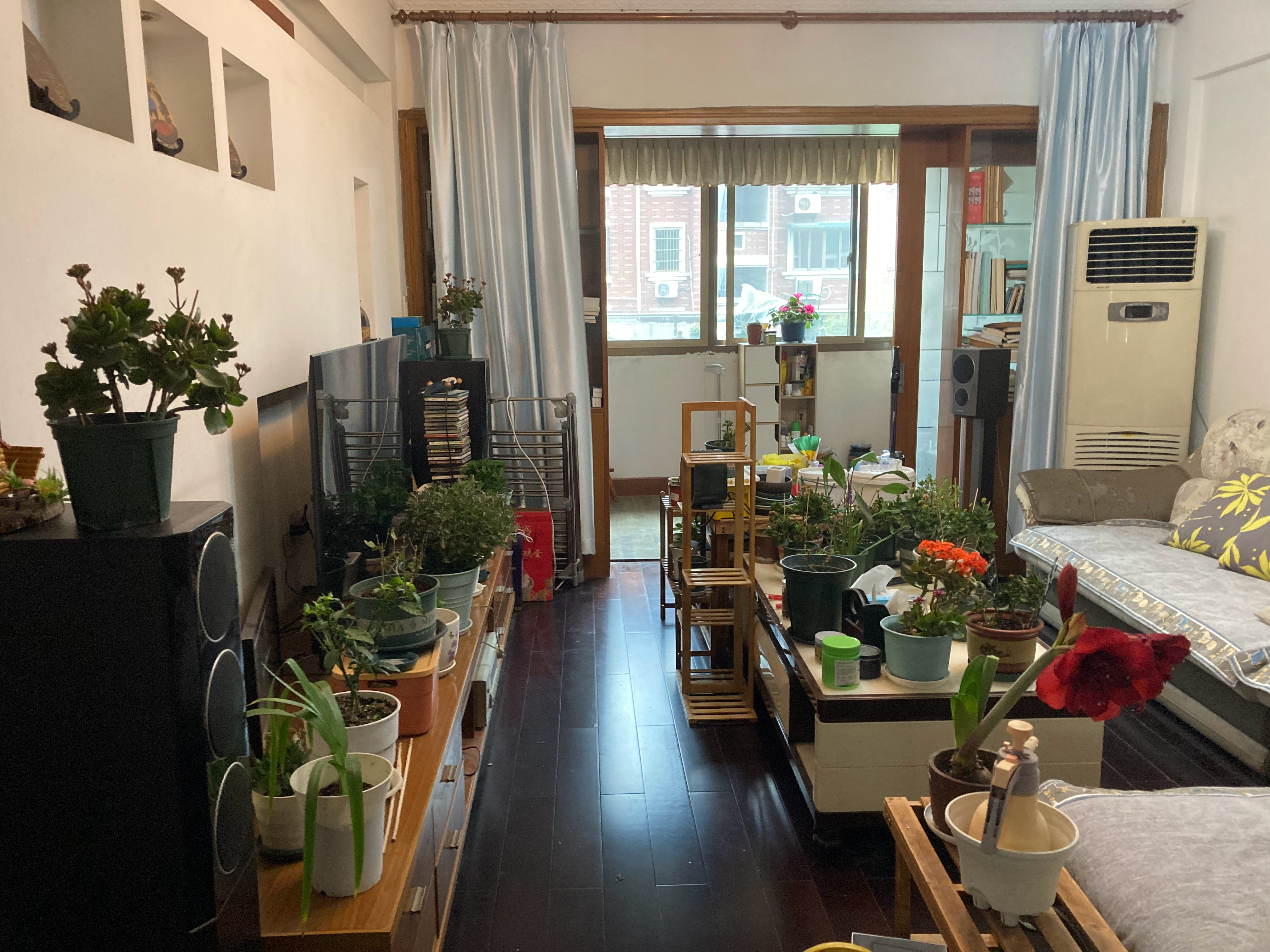 整理花房，植物全搬客厅，自己都觉得自己是不是疯了[允悲]咋弄这么多 ​​​