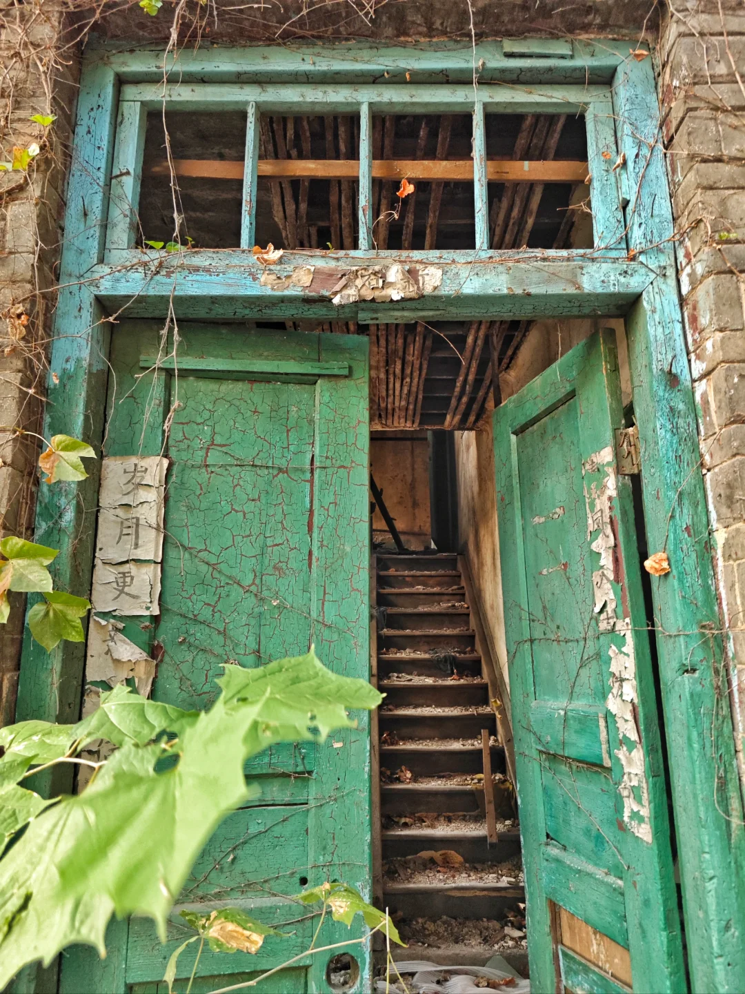 忽然火起来的南滨路某老街(citywalk304)