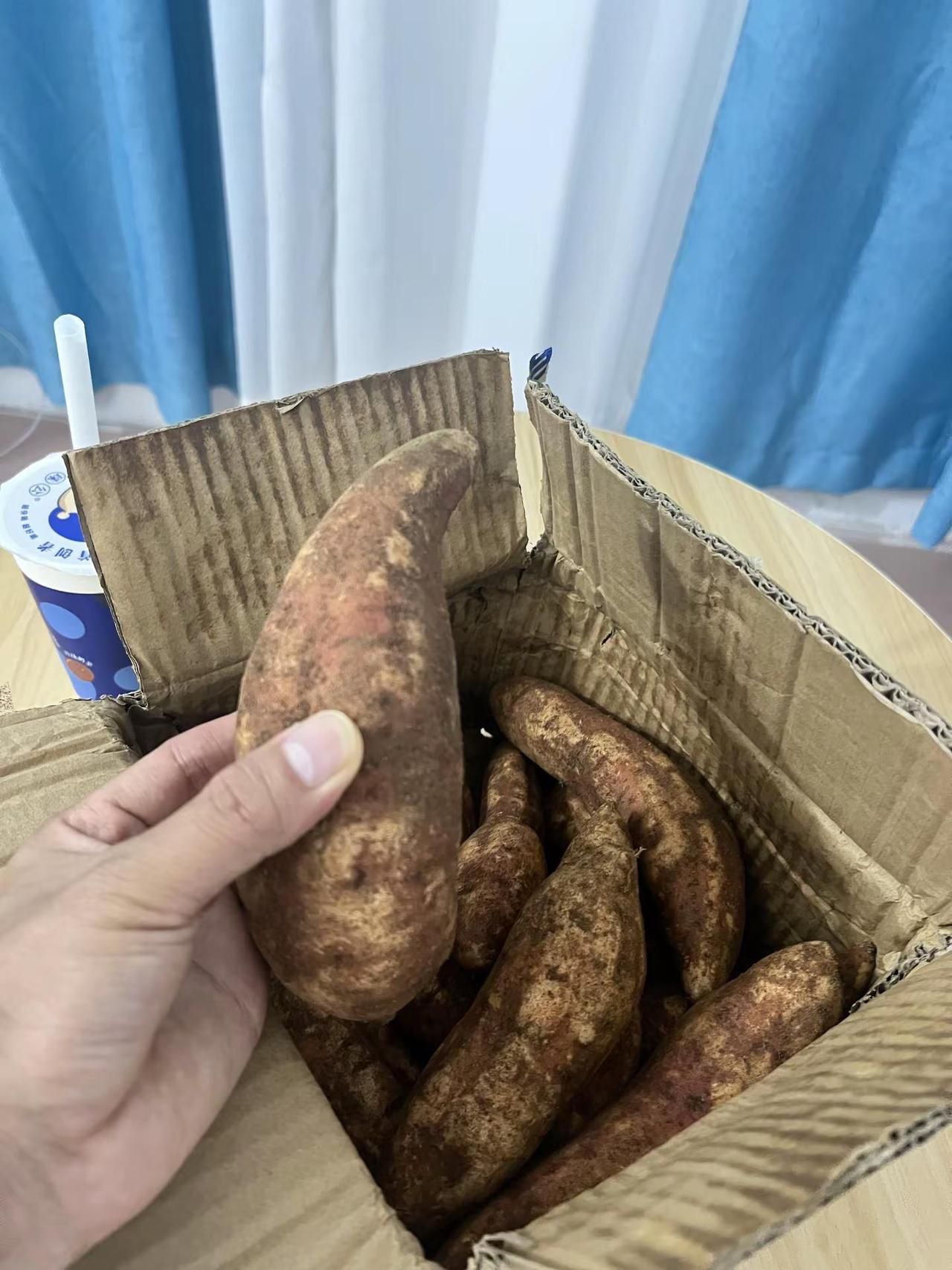 帮我看看是一样的吗？你们多久吃一次🙈 真实拍摄 真实分享 红薯 西瓜红蜜薯
