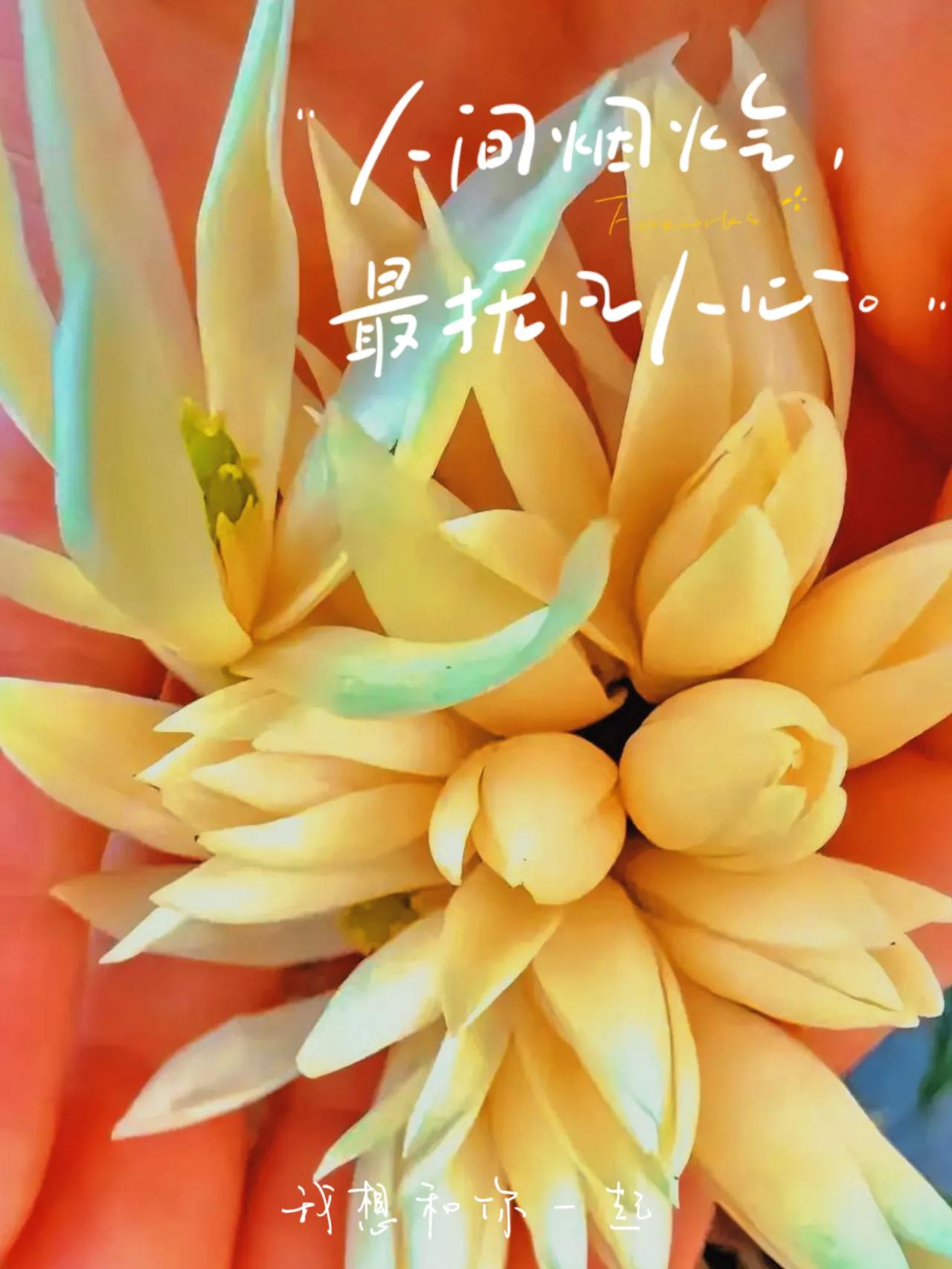 同事的两个闺蜜都有情人，其中一个她还去劝过，说她老公在外打工，月月按时打钱回家，