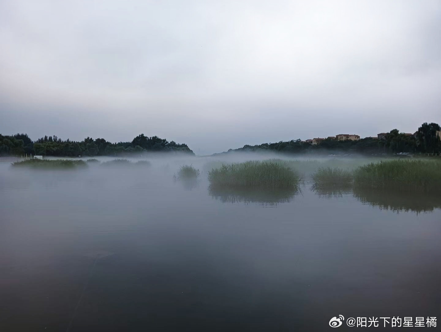 仙境一般 